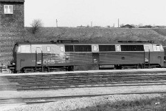 DSB MZ 1421 (type II) photographed in Fredericia 15. april 1978.  The MZ class (type I and II) was purchased from 1967 to 1970 in a number of 26. Only a few of these engines remain in service by DSB - most are now sold to other companies. Built by NOHAB and Frichs. Dieselelectric. Co'Co'. 2270 kW - 3300 hp. Max speed 143 km/h - 89 mph. Length 20 800 mm. Weight 116,5 metric tonnes. MZ 1422 was put in service in 1970. In 2001 leased to Railion.